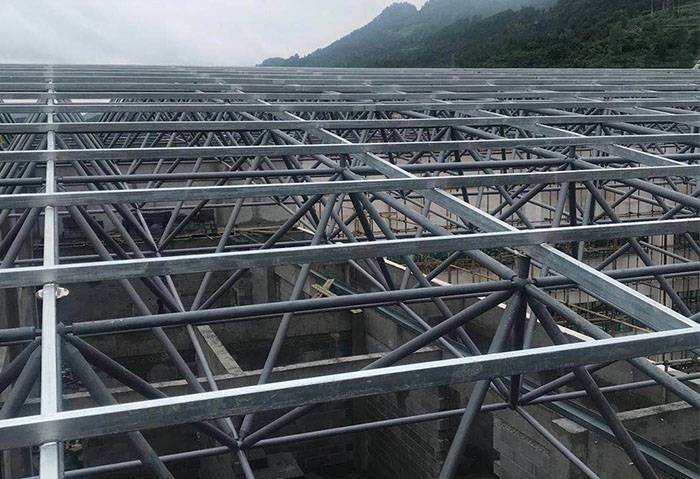 黄浦学校艺体楼网架